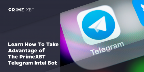 Learn How To Take Advantage of The PrimeXBT Telegram Intel Bot - 2019 12 11 19.43.30 e1591860749995