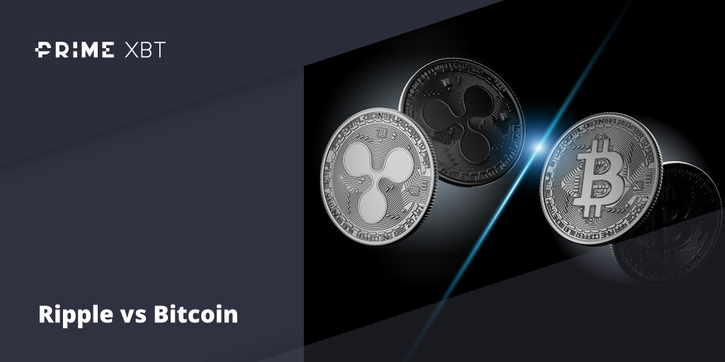 Ripple Versus Bitcoin: Which Cryptocurrency Makes The Better Trade Or Investment Opportunity? - blog primexbt ripple bitcoin