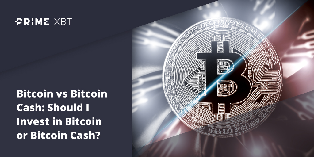 Bitcoin vs. Bitcoin Cash: What's the difference between BTC and BCH? - Blog Primexbt 16 11