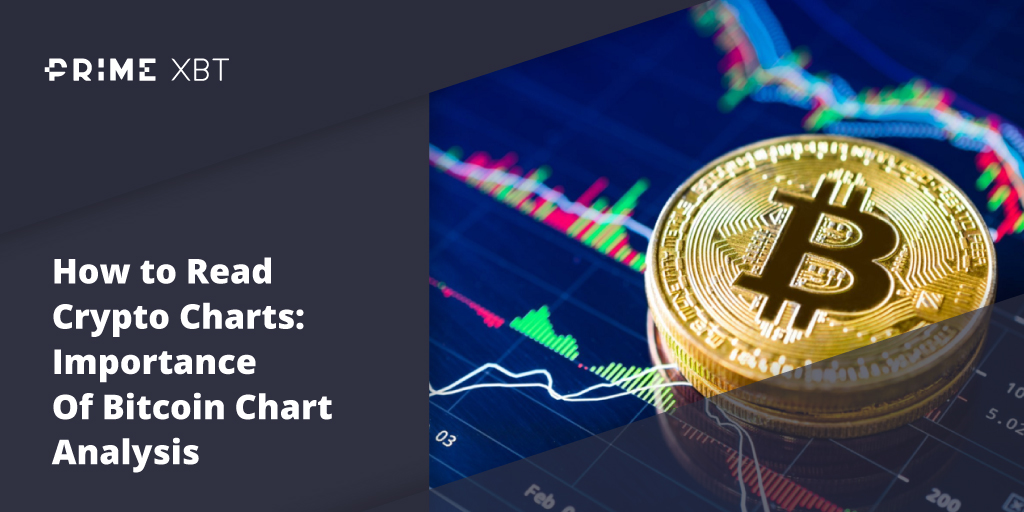 How to Read Crypto Charts: Importance Of Bitcoin Chart Analysis - Blog Primexbt 26 02 btc