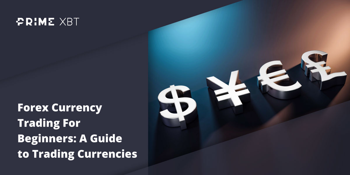 Currency Trading For Beginners: A Guide to Trading Currencies - forex primexbt
