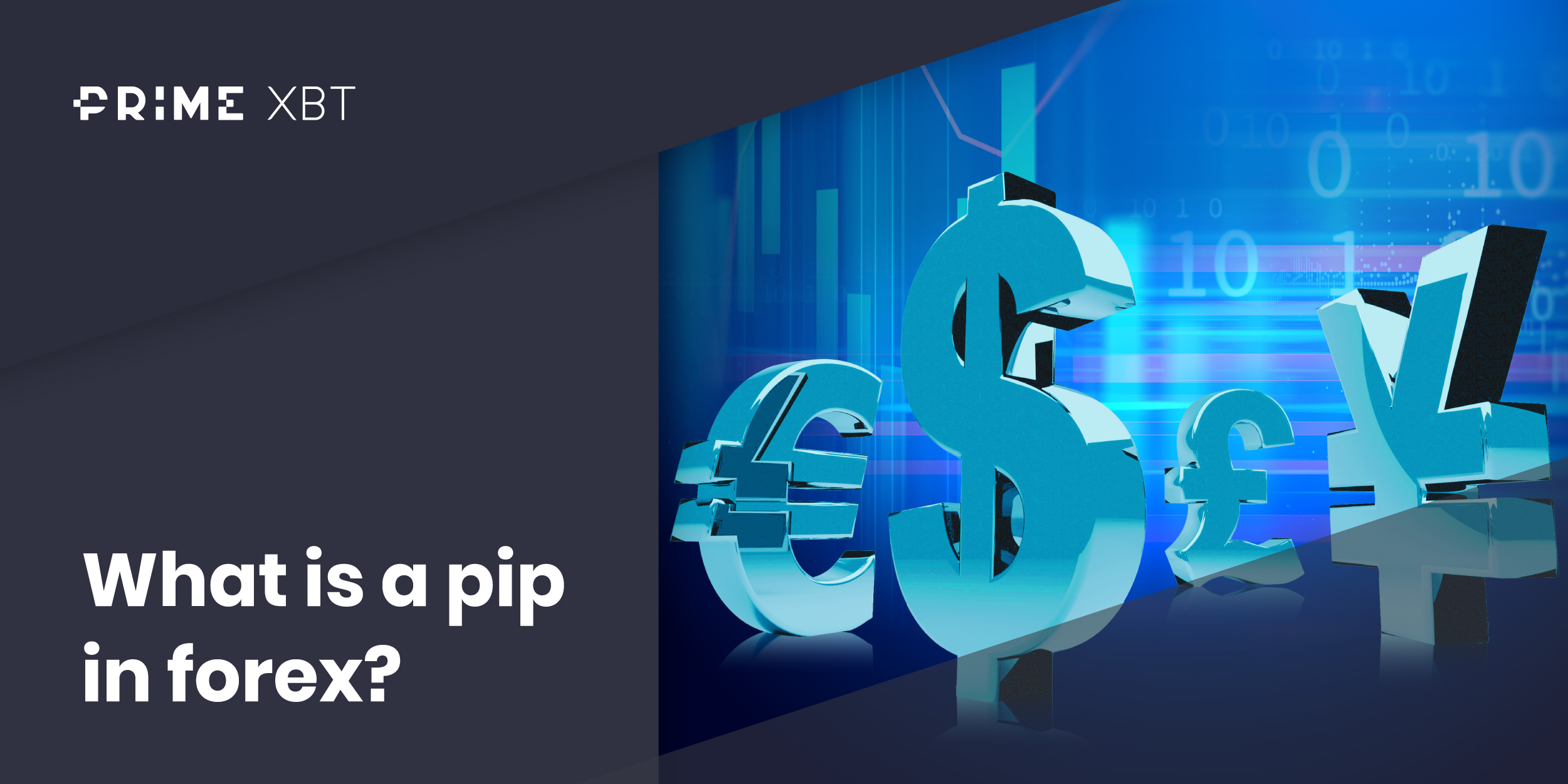 What is a pip in forex? Understanding pips and pipettes - blog 219 1
