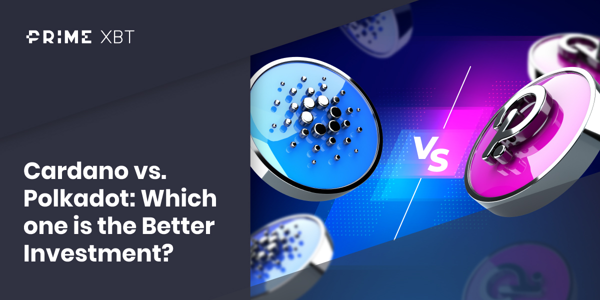 Cardano vs. Polkadot: Which one is the Better Investment? - 243