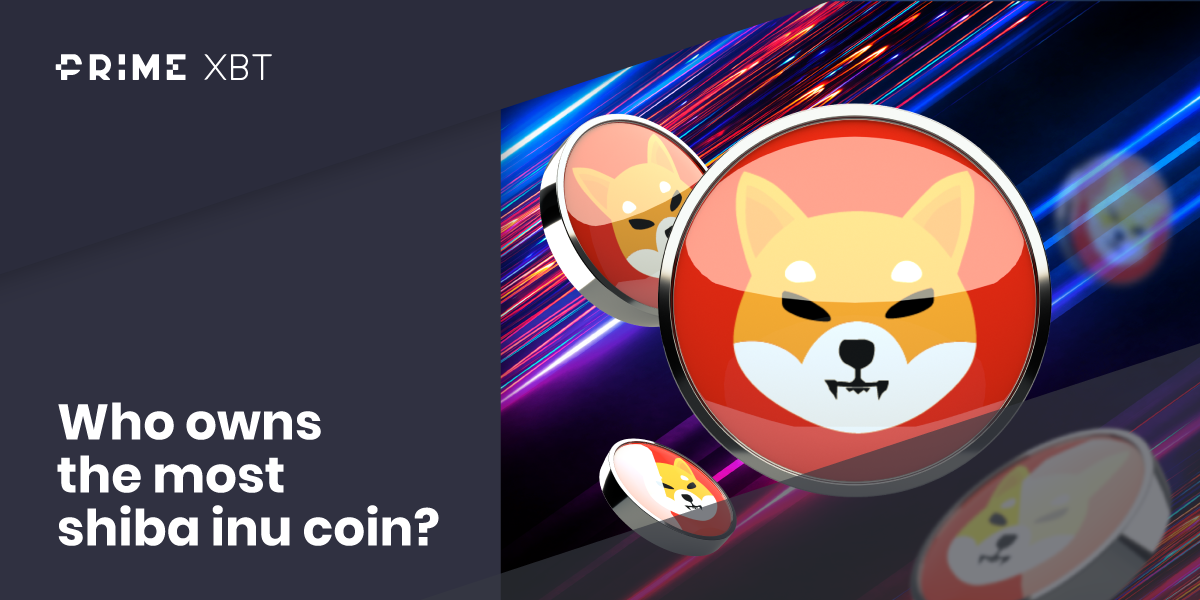 Who Owns the Most Shiba Inu Coin? - Who Owns the Most Shiba Inu Coin
