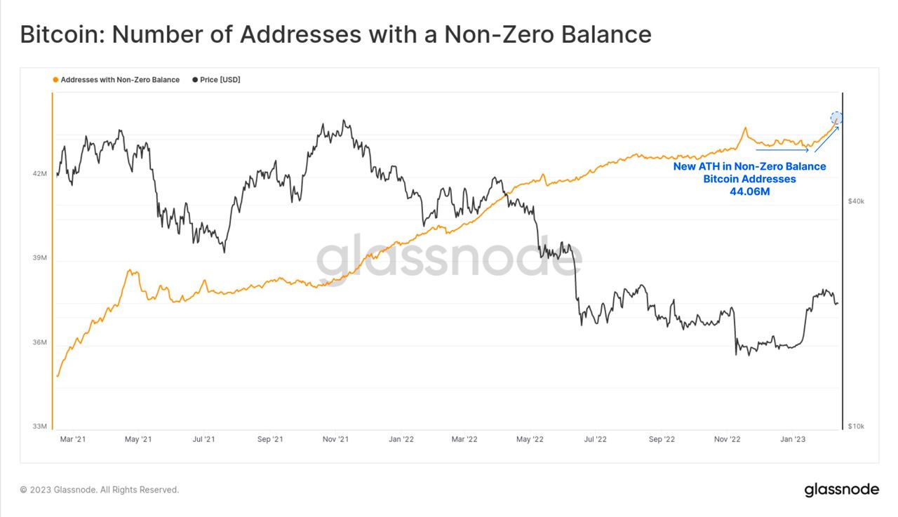 Market Research Report: Hotter Inflation Numbers Worried Stock Investors, But Crypto Unfazed As BTC Punches Above $24,000 - BTC non zero addresses