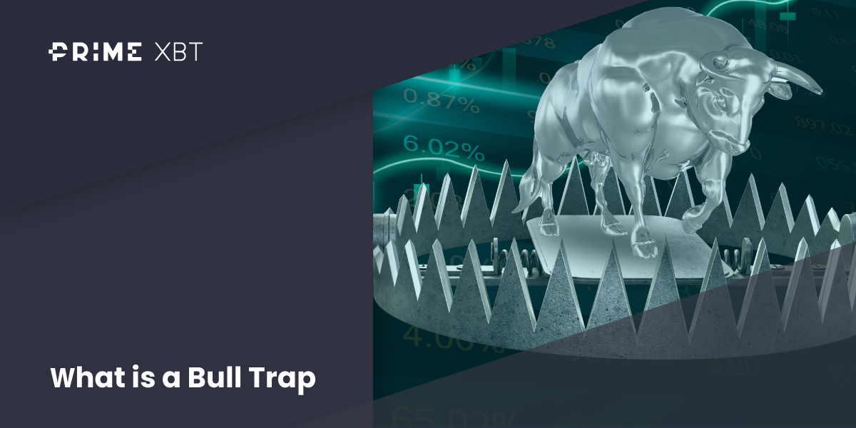 What is a Bull Trap in Trading and How to Avoid It? - Blog 268
