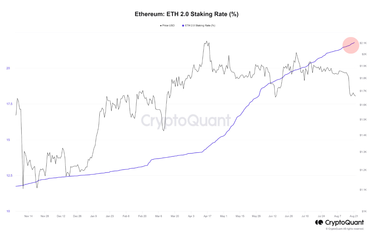 Market research report: Blowout results boost technology stock prices but fails to inspire crypto - ETH staking