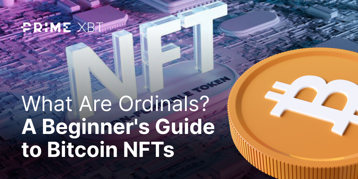 What are ordinals? A beginner's guide to Bitcoin NFTs - blog 329 1200x600