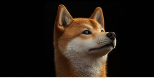 Dogecoin Falls Below 100-Day EMA, Invalidating August Recovery