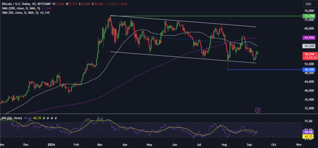 BTC dips post Harris-Trump debate. Could US inflation data help the price recover? - BTCUSD 13 1024x476