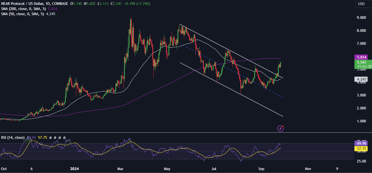 Bitcoin Forecast: BTC rises towards 65k, NEAR, TON outperform - NEAR