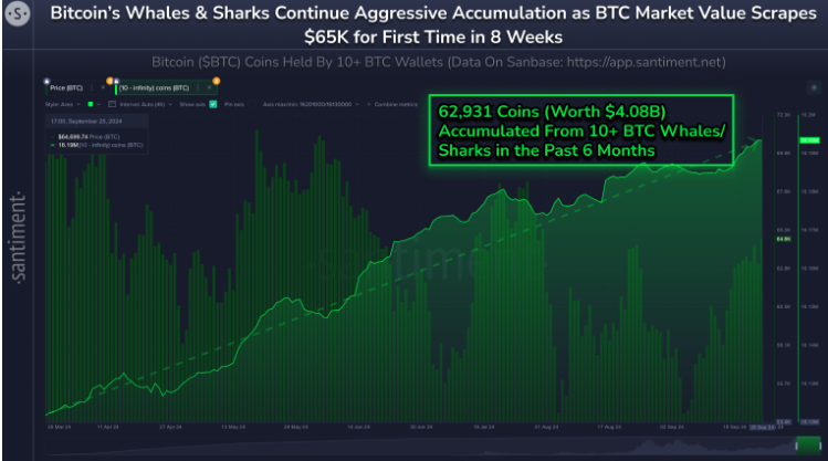 Bitcoin tests 65k as macro factors align and Q4 comes into focus - whales 1