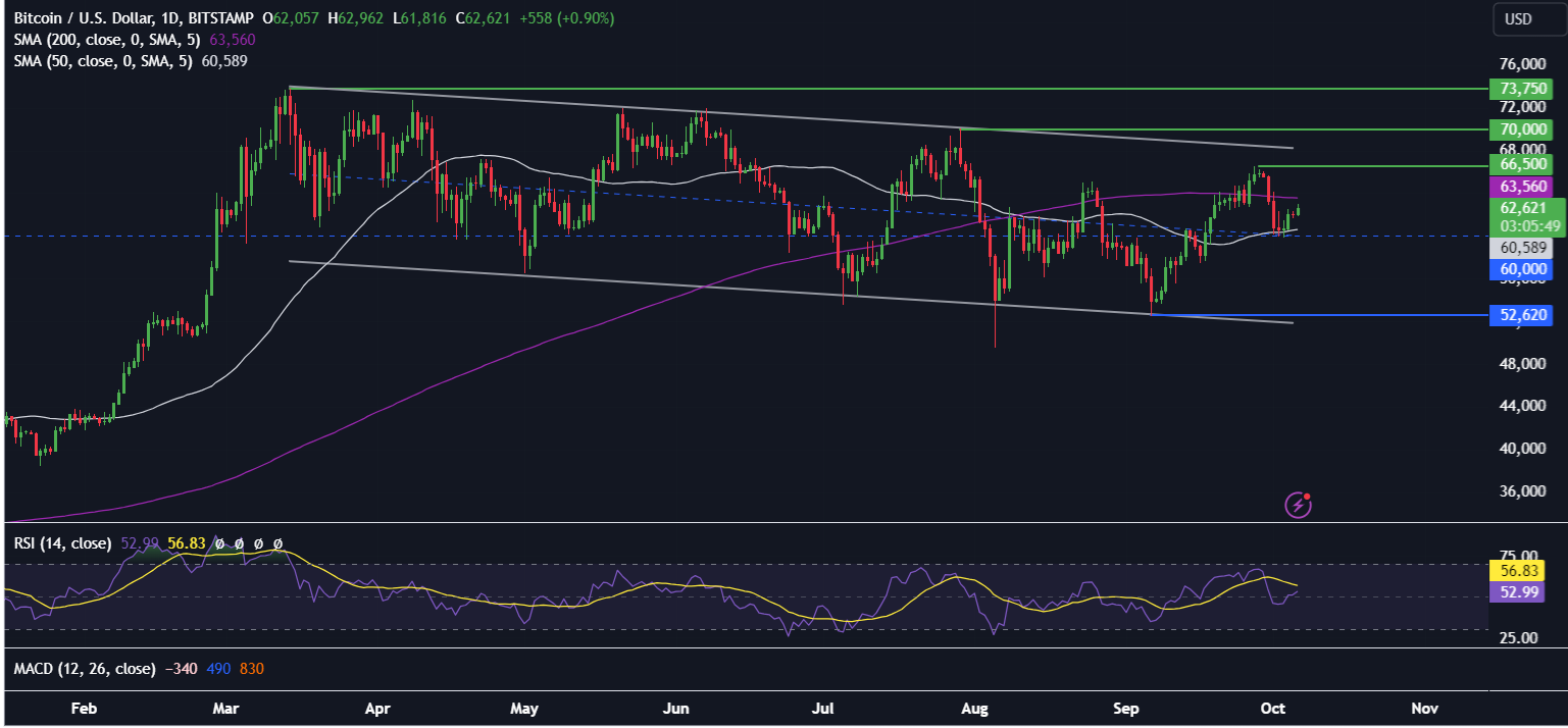 Bitcoin recovered from 60k. BTC ETFs see weekly outflows, but whales hold steady. US inflation data is in focus. - BTCUSD 17