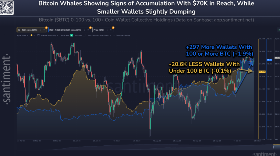 Bitcoin eyes 70k ahead of a critical few weeks with US data, earnings & US elections in focus - whales 3