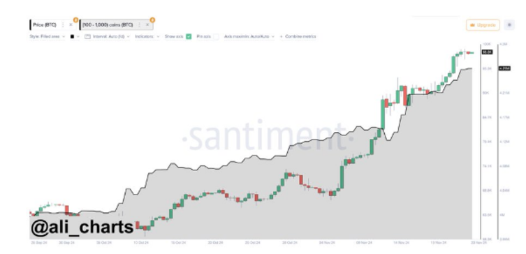 Can Bitcoin take 100k, or is a pullback on the cards this week? - BITCOIN whales 2