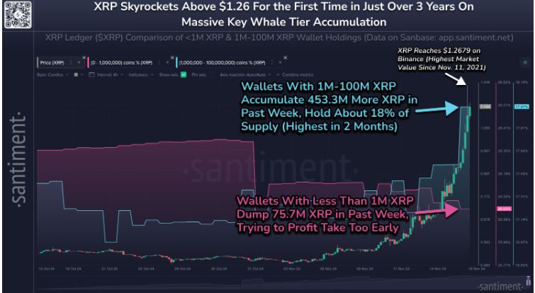 Bitcoin hits a record high as the “Trump trade” continued, XRP outperformed - XRP