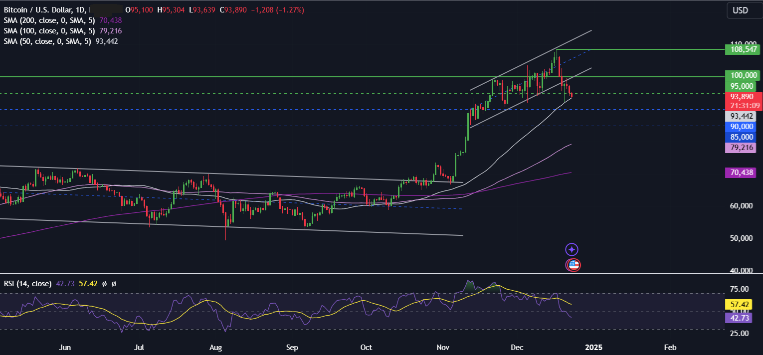 Bitcoin falls to 95k, BTC ETFs see record outflows, but a supply shock could be coming - BTCUSD 23 12 2024