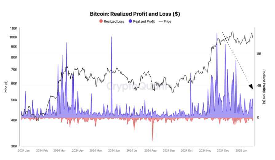 Bitcoin falls from 109K, below 100k with Trump, the Fed, and tech in focus; Large investors increase holdings - bitcoin profit and loss