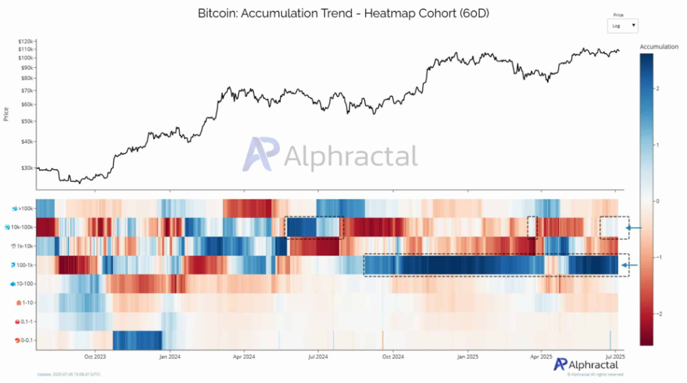 Bitcoin breakout ahead? 110k remains a key level with Trump’s Big Beautiful Bill & quiet conviction rising.  - BTC accumulation 07072025