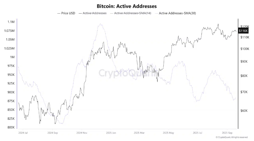 Bitcoin Faces Flash Crash, But Long-Term Holders Signal Bullish Q4 Bitcoin Faces Flash Crash, But Long-Term Holders Signal Bullish Q4 - BTC active addressses 22092025