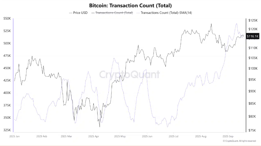 Bitcoin Faces Flash Crash, But Long-Term Holders Signal Bullish Q4 Bitcoin Faces Flash Crash, But Long-Term Holders Signal Bullish Q4 - BTC transaction count 22092025
