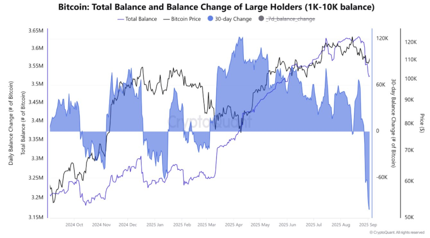 Bitcoin Weekly Report: Can BTC avoid a Red September as Gold hits record highs? Mixed signals emerge.  - change large holders 08092025