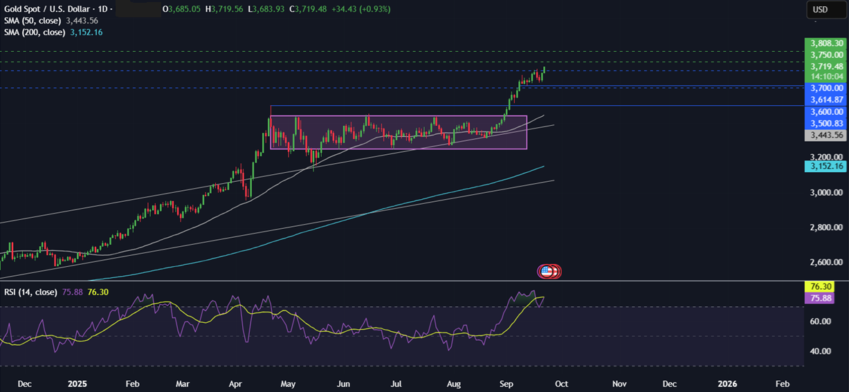 Bitcoin Faces Flash Crash, But Long-Term Holders Signal Bullish Q4 Bitcoin Faces Flash Crash, But Long-Term Holders Signal Bullish Q4 - gold 22092025