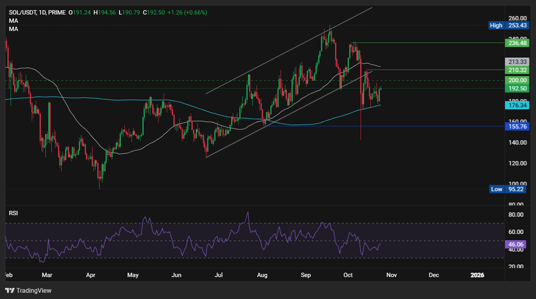 BTC Rises Ahead of CPI data. SOL is Boosted By Institutional Demand - SOLUSD 2