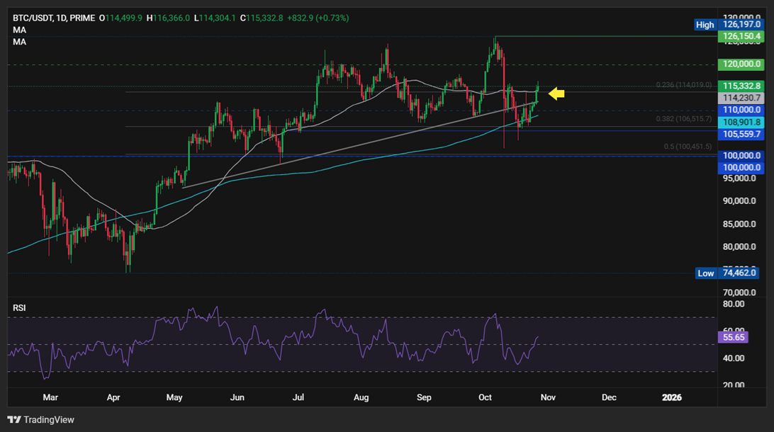 Bitcoin Breaks 115k, Rising Out of “Fear” on US-China Trade Optimism, Fed Rate Cut Hopes Bitcoin Breaks 115k, Rising Out of “Fear” on US-China Trade Optimism, Fed Rate Cut Hopes - btc