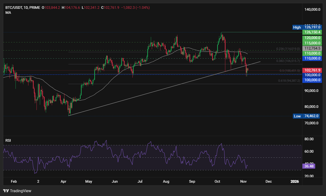BTC Tests Bear Market Waters — Buyers Defend $100K Support BTC Tests Bear Market Waters — Buyers Defend $100K Support - BTCUSD 29