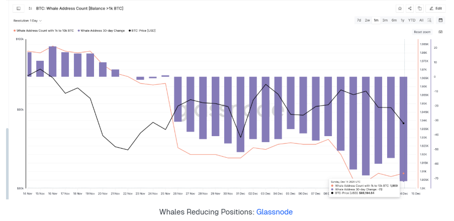 BTC treads water at 90k: Fed cuts, BoJ risks, and fragile demand BTC treads water at 90k: Fed cuts, BoJ risks, and fragile demand - whale address count
