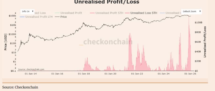 Bitcoin retreats as geopolitical tensions rise, despite strong institutional and on-chain support - STH unrealised pl