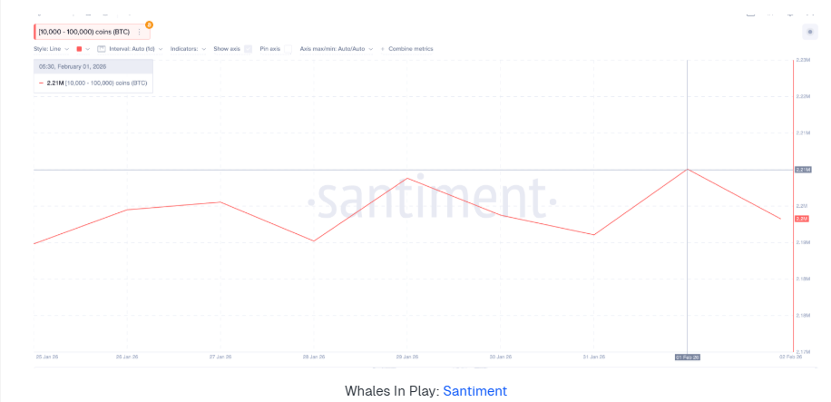 Bitcoin plunges to a 9-month low as Trump&rsquo;s Warsh pick tanks BTC. More downside to come? - whales