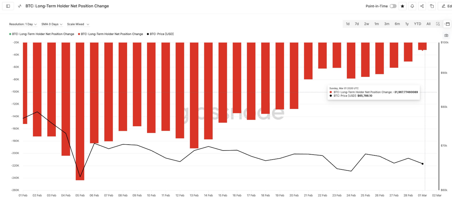 Bitcoin holds 66k as oil&rsquo;s jump amid US-Iran war clouds the outlook - long term holders net change